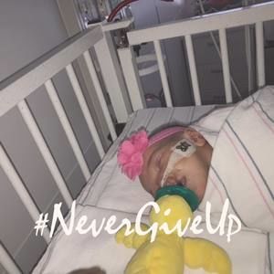 Meet your Posher, Cheyenne